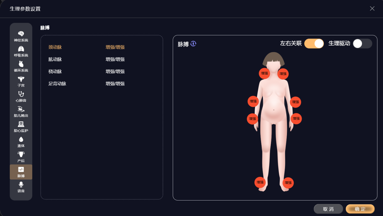 智能分娩模拟人系统（高级产妇模拟训练系统）