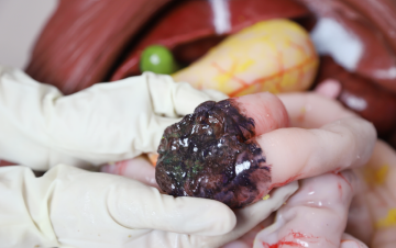 高级急救及手术模拟人